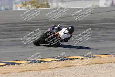media/Feb-04-2024-SoCal Trackdays (Sun) [[91d6515b1d]]/4-Bowl Backside (11am)/